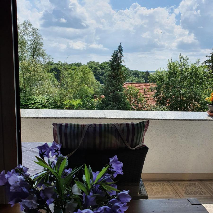 Apartament Schau Ins Land Elbingerode  Zewnętrze zdjęcie